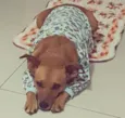 Mel