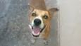 Sorriso