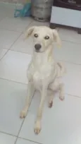 Baby