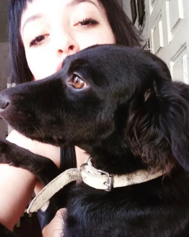 Cachorro ra a Vira lata idade 2 anos nome Diana