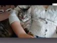 Caju e Amora