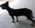 Dora