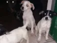 Ainda não tem nomes