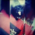 Luly