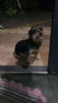 Maggie