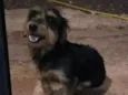 Maggie