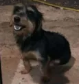 Maggie