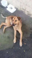 BEBEZÃO