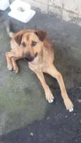 BEBEZÃO
