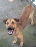 BEBEZÃO