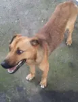 BEBEZÃO