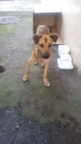 BEBEZÃO