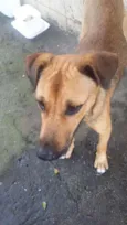 BEBEZÃO