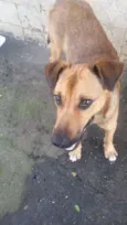 BEBEZÃO