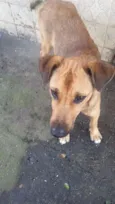 BEBEZÃO