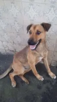 BEBEZÃO