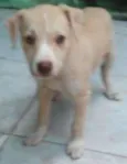 lindinha