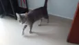 Tom
