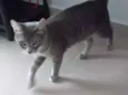 Tom