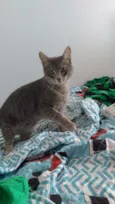 Tom