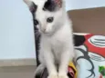 Tutti