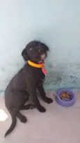 Bolt