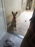 Zeus