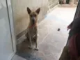 Zeus
