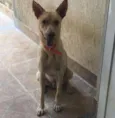 Zeus