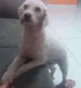Marley
