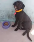 Bolt
