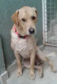 Jack