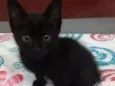 Fernandinho