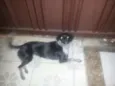 BELINHA