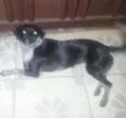 BELINHA
