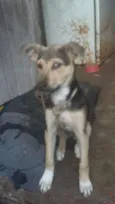 NiNA