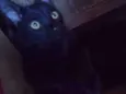 Charlie 