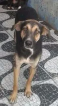 Dudu