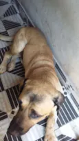 Boris