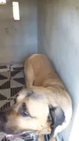 Boris