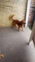 Gita