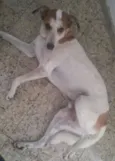 Thimoteo