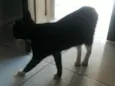 Nao coloquei