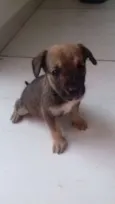 Marley 
