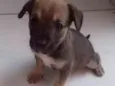 Marley 