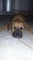 Não tem