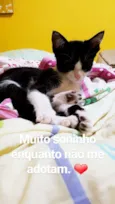 Sem nome
