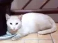 Branco e preto e branco
