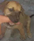 Não tem
