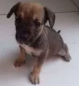 Marley 